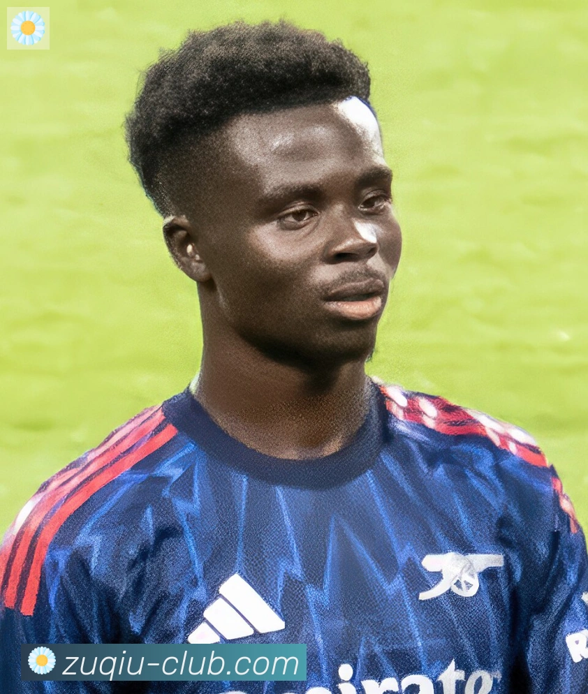 维尼修斯